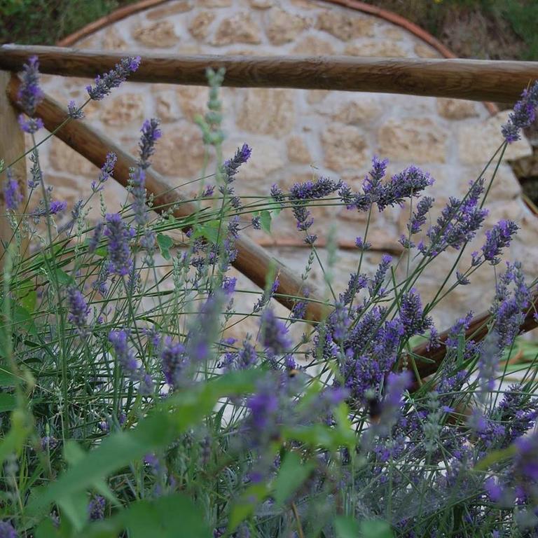 B&B L'Usignolo Ascoli Piceno Exterior photo