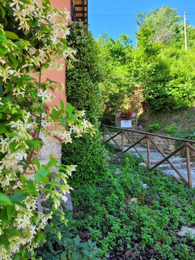 B&B L'Usignolo Ascoli Piceno Exterior photo